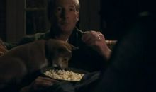 忠犬八公的启示作文