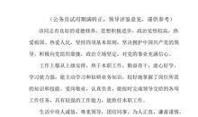 领导工作表现评语