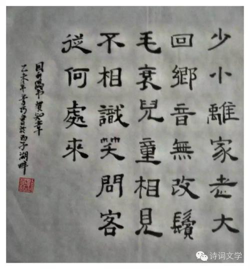 邵晓,离家出走,老板,回泉埔