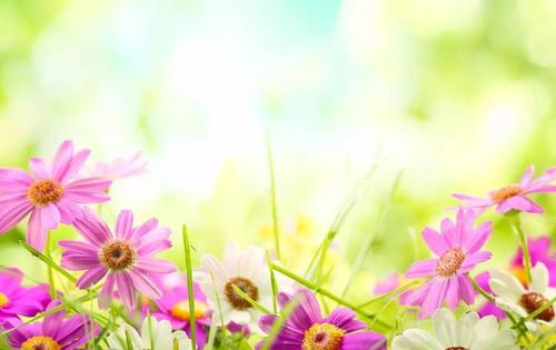 最困难的关系是性格