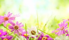 最硬的关系是人品