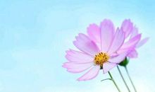 2016最绝美的句子