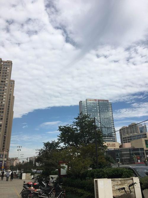 对高中儿子：认真生活