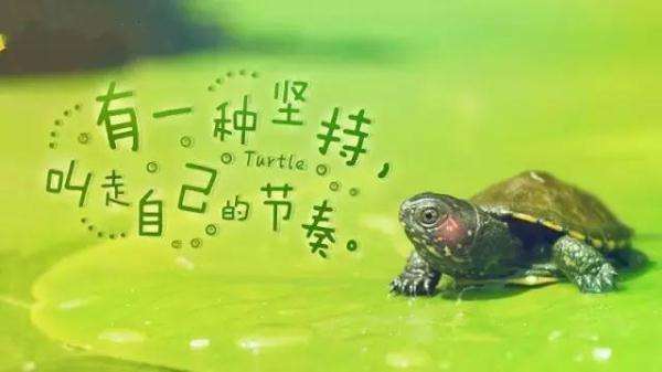 灵魂鸡汤励志名言