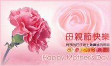 关于母爱的句段