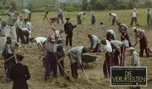 冯仑：赚钱要靠钱以外的功夫