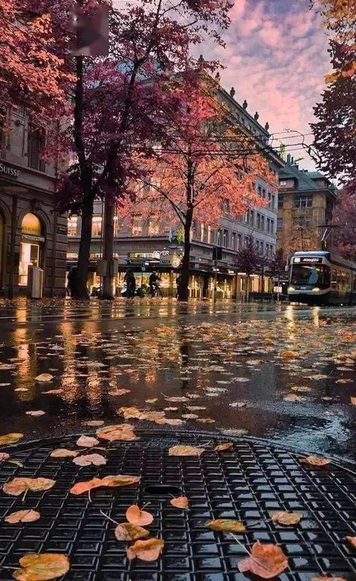 关于雷锋的名言