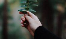 人生应该追求的十种意境