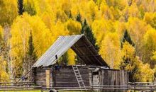 形容九月的优美句子