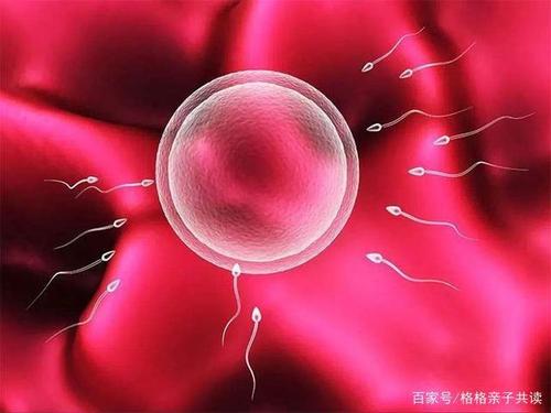 我们必须学会拒绝,我们不会在工作场所成为坏人