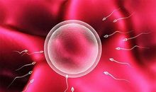 要学会拒绝，我们不做职场烂好人