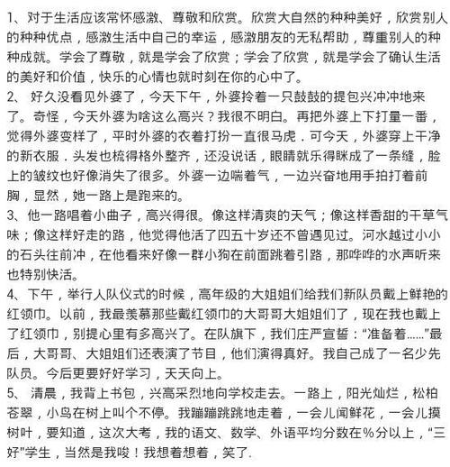 动作说明片段300字