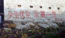 最新计划生育标语