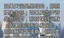 关于生命的一段话