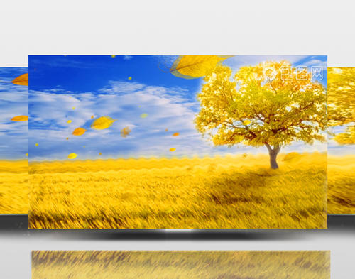 描述秋天收获的句子