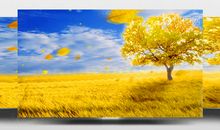 形容秋天收获的句子