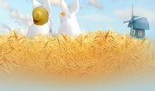 经典语录：人生最珍贵的是选择，人生最难得的是放下