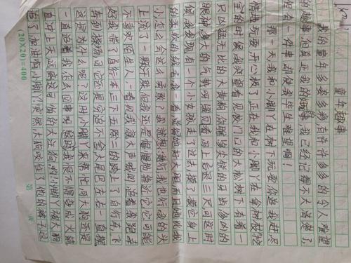 作文儿时的乐趣