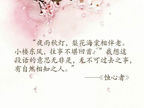 经典语录：不要对不起我，因为我们还好