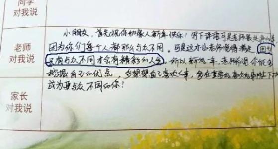 班主任的评语：高三班主任的评语