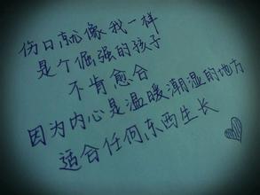 经典语录：一个人的不幸始于嫉妒他人