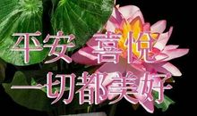 早上祝福短信大全