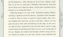 茶花女读后感英文