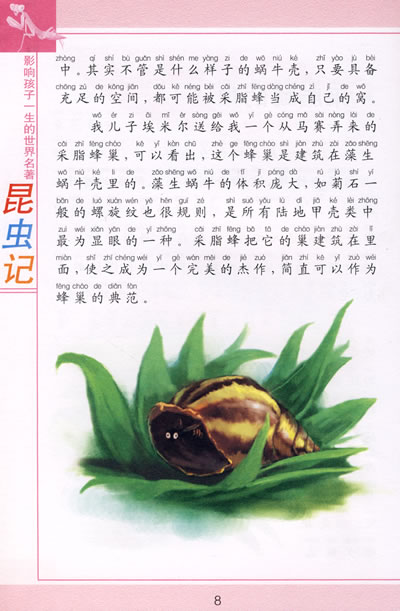 关于“昆虫蝉”的思考