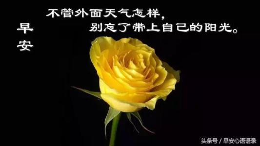 哲学而优美的段落