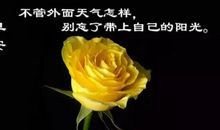 哲理性优美的一段话