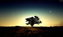 做最坏的打算，存最好的心