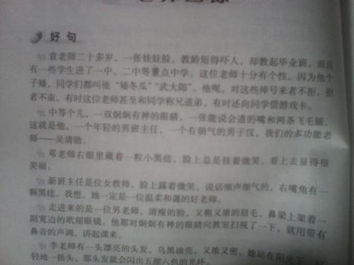 关于环境描述的好段落