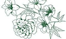 请在远行的背囊里，备好一颗智慧的心