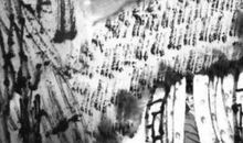 此夜曲中闻折柳全诗