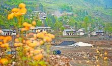 用鳞次栉比造句