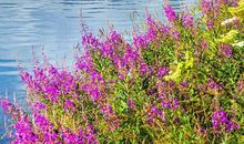 只有踮起脚尖问，幸福才会答