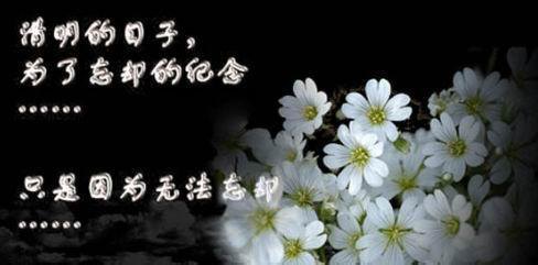 怀念亲人