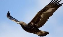 感悟人生：呵护人生的七味良药