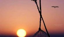 值得回味的句子