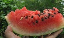 描写西瓜味道的句子