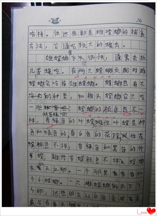 关于昆虫笔记的思考