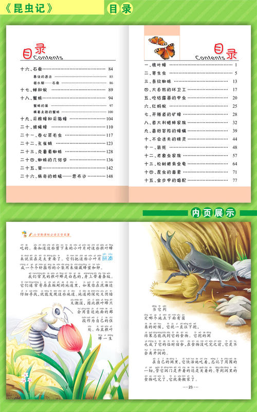 关于阅读《昆虫王国》的思考