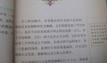 昆虫记第三章读后感