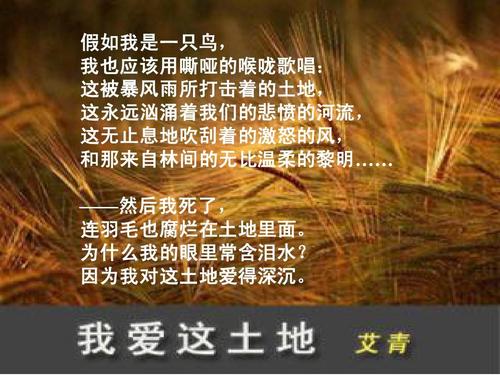 艾青：我爱这片土地