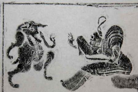 关于“拯救丛林”的思考