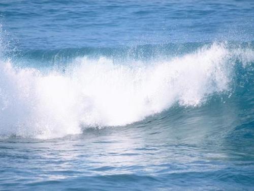 描述清水的句子