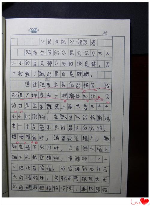 阅读《昆虫》第4章之后