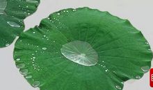 周国平：亲疏随缘