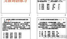 用宁可也不造句