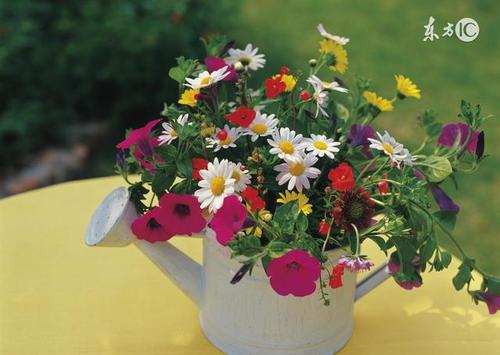 经典语录：只抱有相同的志向，不要谈论白痴的缺点